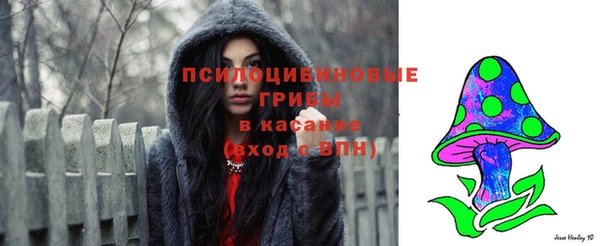 тгк Балахна